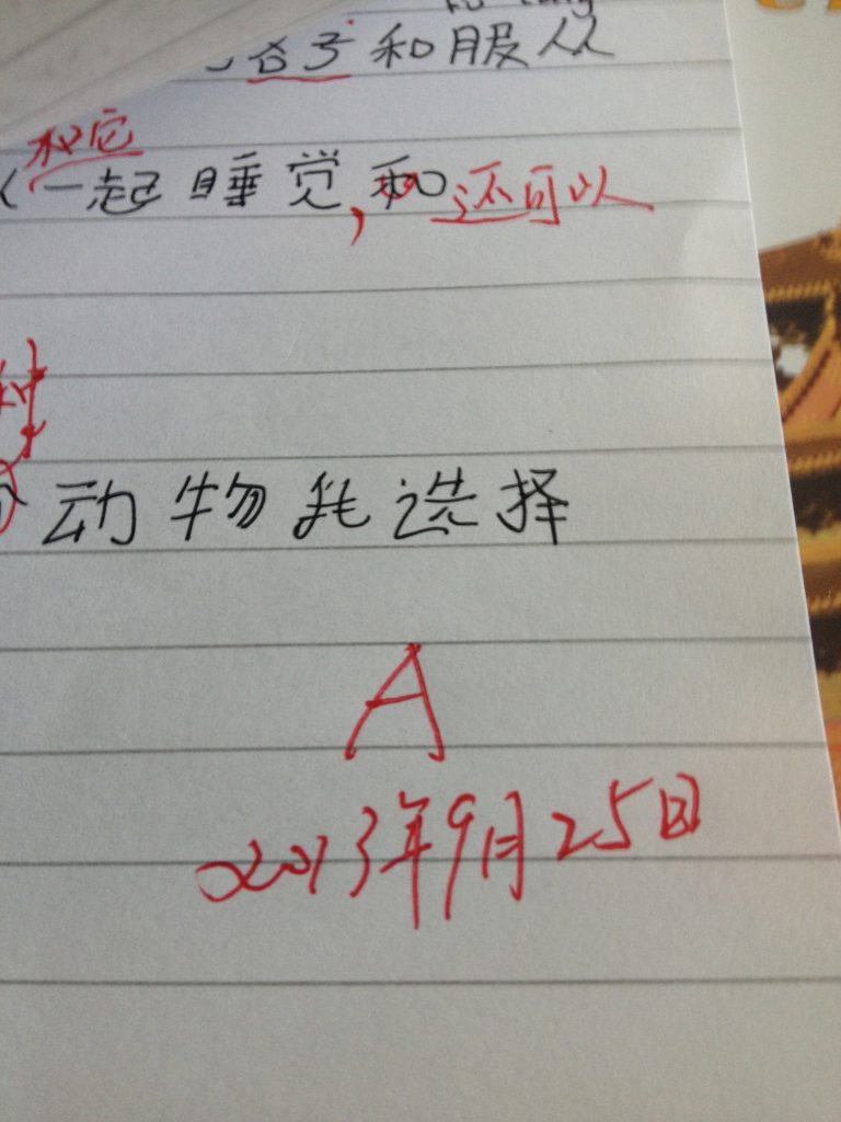 I was surprised to discover that I have NO photos from my chinese class. So I'll show off by reposting the picture of my homework where I got an A. Although I have since found out that my classmates got A+ and A++ so I guess my A is really more like a C. Sigh…..